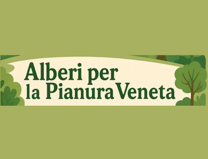 Alberi in pianura 2025 Alberi in pianura 2025