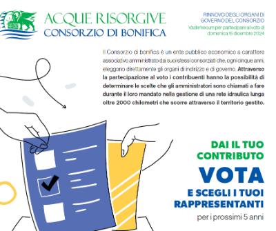Immagine 2024-11-26 125237