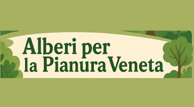 alberipianuraveneta_1